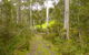 Huon Valley Eco Wilderness Retreat - thumb 5