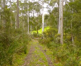 Huon Valley Eco Wilderness Retreat - Holiday Sunshine Coast 5