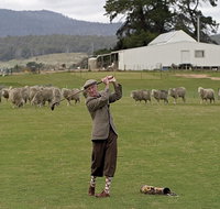 Park House Accommodation - Sunshine Coast Tourism