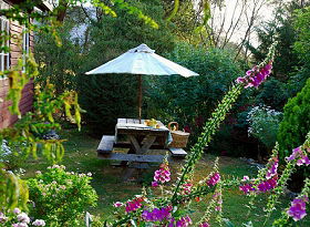 Horse Haven Farmstay - Sunshine Coast Tourism 1