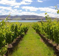 Riversdale Estate Cottages - Sunshine Coast Tourism