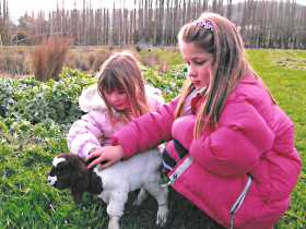 Huon Valley Caravan Park - Holiday Sunshine Coast 0