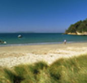 Recreation Cottage - Holiday Sunshine Coast