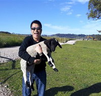 Hurlfield Farm Cottage - Sunshine Coast Tourism
