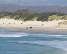 Arties - Sunshine Coast Tourism 3