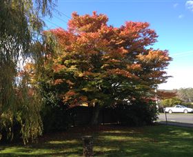 Acacia Bed And Breakfast - Holiday Sunshine Coast 3