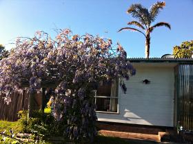 North East Apartments - Sunshine Coast Tourism 1