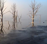 Blue Lake Lodge Accommodation - Sunshine Coast Tourism