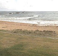 Penguin Caravan Park - Holiday Sunshine Coast