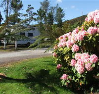Zeehan Bush Camp  and Caravan Park - Sunshine Coast Tourism