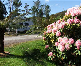 Zeehan Bush Camp  And Caravan Park - Holiday Sunshine Coast 0