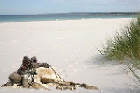 Caravan And Camping Neurum QLD Sunshine Coast Tourism