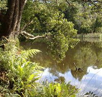 Weldborough Camping Ground - Sunshine Coast Tourism