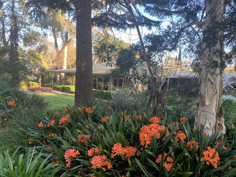 Treetops Bed And Breakfast - Holiday Sunshine Coast 6