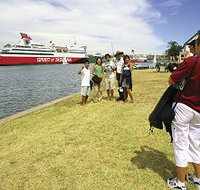 Lakeside Tourist Caravan Park - Sunshine Coast Tourism