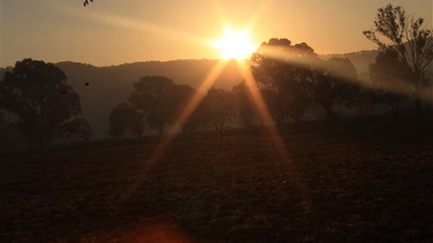 Gentle Annie Caravan And Camping Reserve - Sunshine Coast Tourism 1