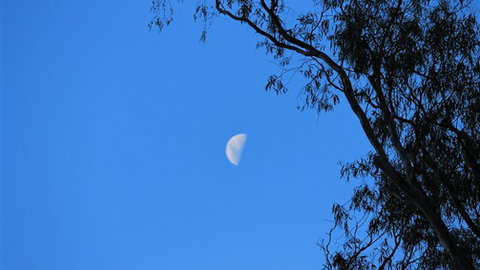 Gentle Annie Caravan And Camping Reserve - Sunshine Coast Tourism 4