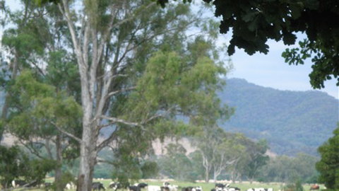 Gentle Annie Caravan And Camping Reserve - Sunshine Coast Tourism 3