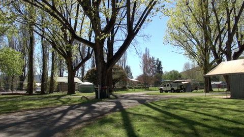 Myrtleford Holiday Park - Sunshine Coast Tourism 3
