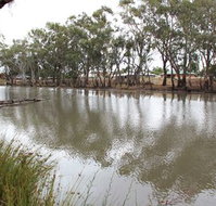 Riverbank Caravan Park - Sunshine Coast Tourism