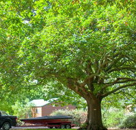 Lakes and Craters Holiday Park - Sunshine Coast Tourism