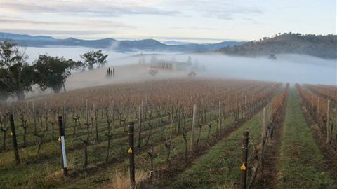 Valley View Caravan Park - Sunshine Coast Tourism 5