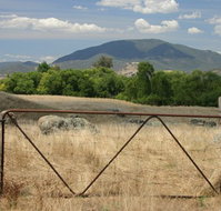 Elmstead Cottages - Sunshine Coast Tourism