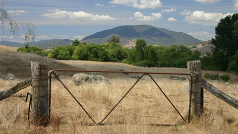 Elmstead Cottages - Sunshine Coast Tourism 0