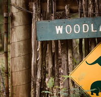 Woodlands Rainforest Retreat - Sunshine Coast Tourism