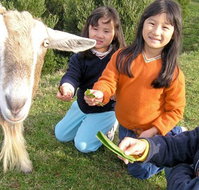 Johanna River Farm and Self Contained Cottages - Sunshine Coast Tourism