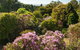 Woolrich Retreat - thumb 8