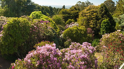 Woolrich Retreat - Sunshine Coast Tourism 8