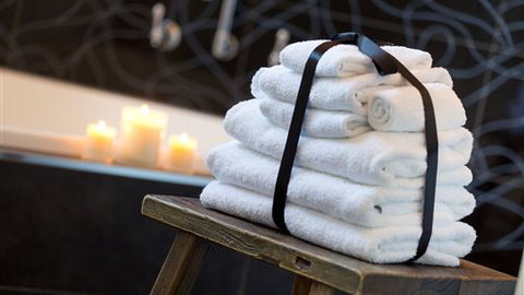 Comfort Inn & Suites Blazing Stump - Sunshine Coast Tourism 0