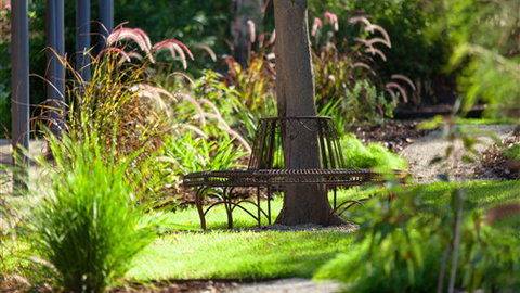 Comfort Inn & Suites Blazing Stump - Sunshine Coast Tourism 5