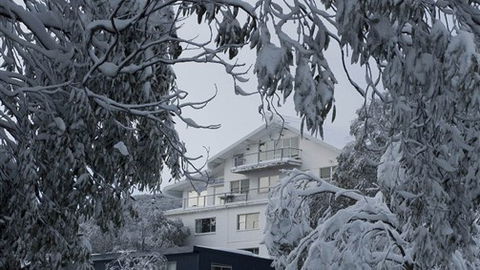 Attunga Alpine Lodge And Apartments - Holiday Sunshine Coast 0