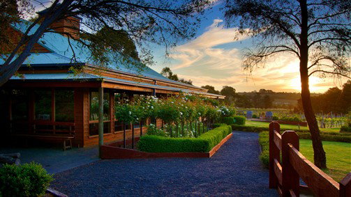  Sunshine Coast Tourism