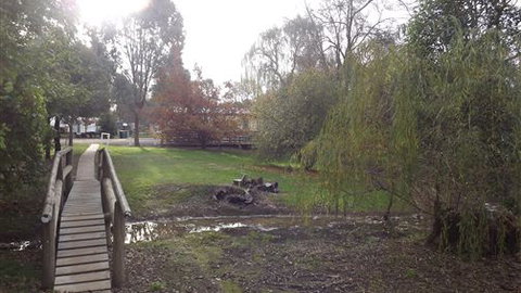 High Country Holiday Park - Sunshine Coast Tourism 6