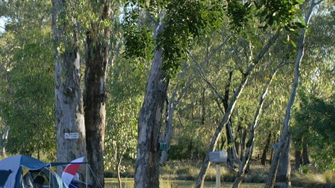 Numurkah Caravan Park - Sunshine Coast Tourism 2