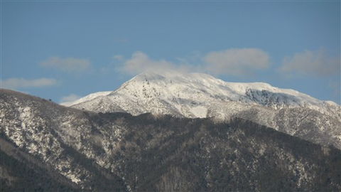 Alpenhorn Holiday Units - Holiday Sunshine Coast 5