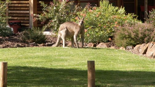  Sunshine Coast Tourism