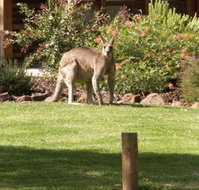 Southern Grampians Cottages - Sunshine Coast Tourism