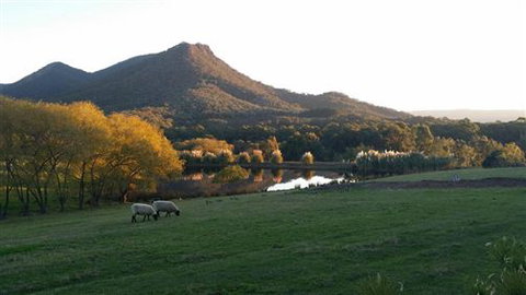 Cathedral Valley Farm - Sunshine Coast Tourism 2
