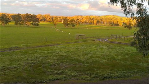 Rotherlea Lodge - Sunshine Coast Tourism 4