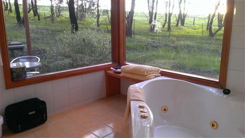 Rotherlea Lodge - Sunshine Coast Tourism 5