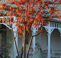 Yarra Gables Motel - Sunshine Coast Tourism