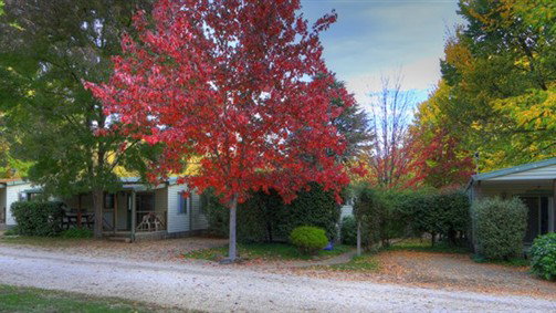  Sunshine Coast Tourism