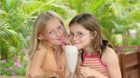 BIG4 Whiters Holiday Village - Sunshine Coast Tourism 1