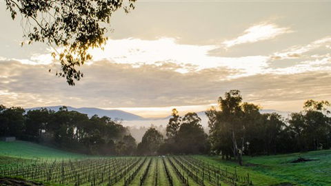 Ainsworth Estate - Holiday Sunshine Coast 1