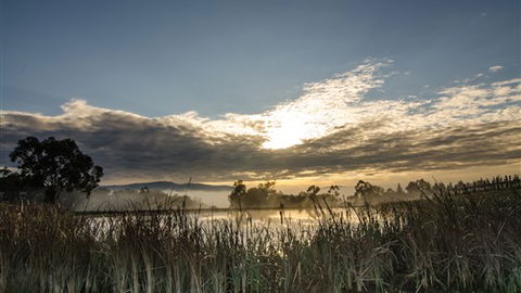 Ainsworth Estate - Holiday Sunshine Coast 6