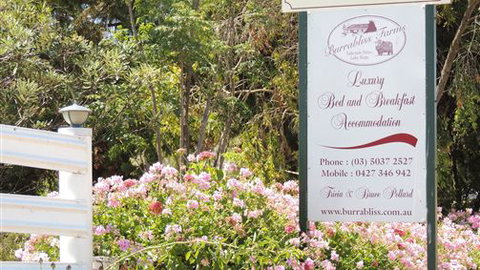 Burrabliss Bed And Breakfast - Sunshine Coast Tourism 6